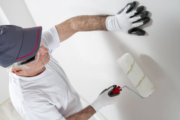 Best Drywall Removal and Disposal  in USA